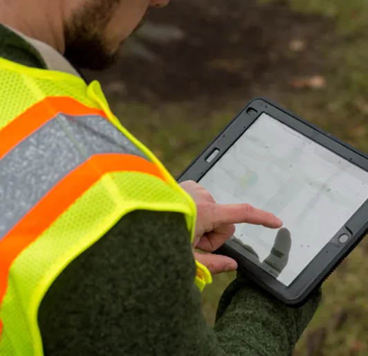 tree inventory rockland new york
