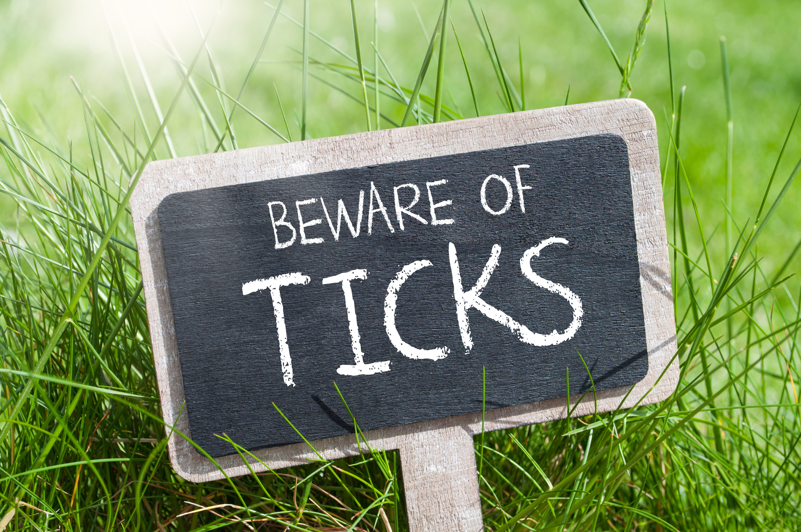 tick control treatments Rockland, New York