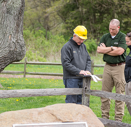 Tree Protection & Construction
