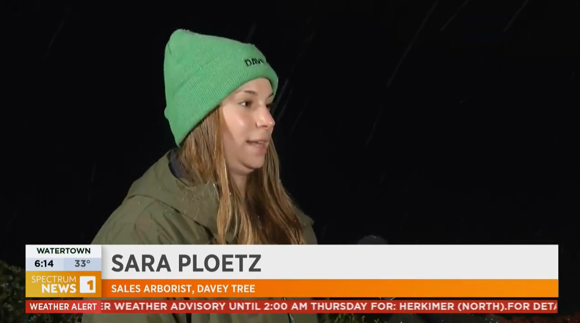 Screenshot 2025 05 01 085617