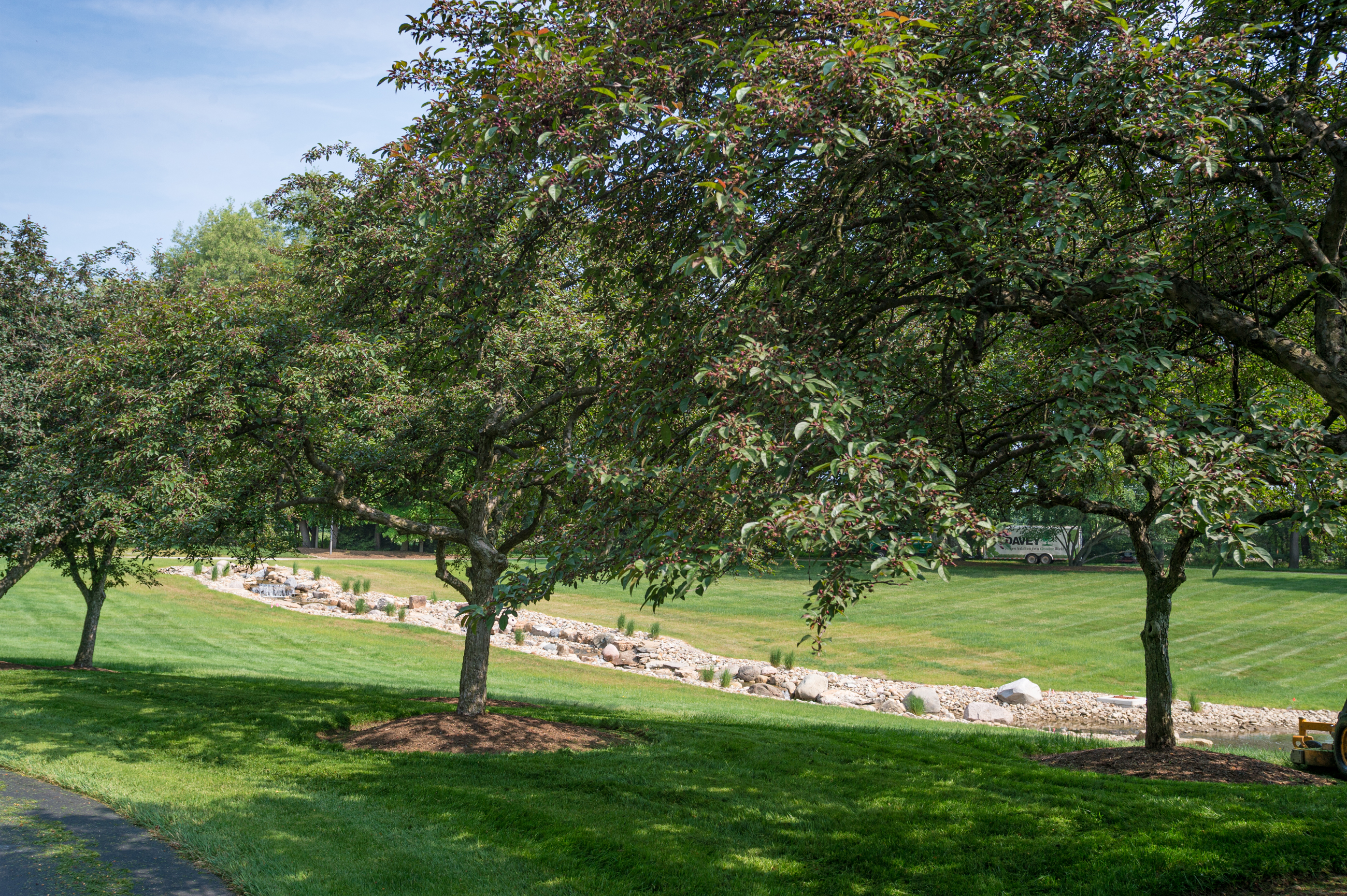 Tree Risk Assessment