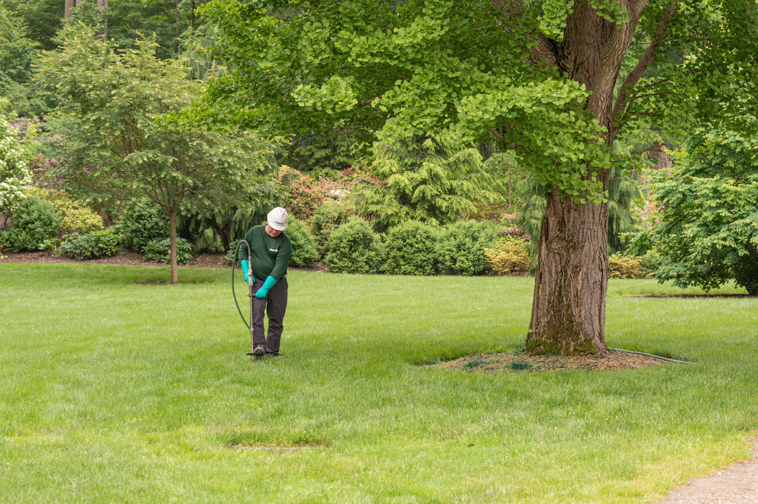 Fertilizing near Rockland, NY