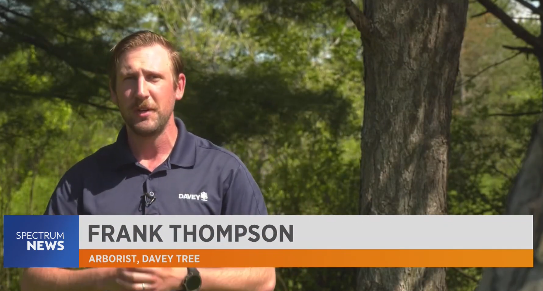 Screenshot 2025 06 03 102552