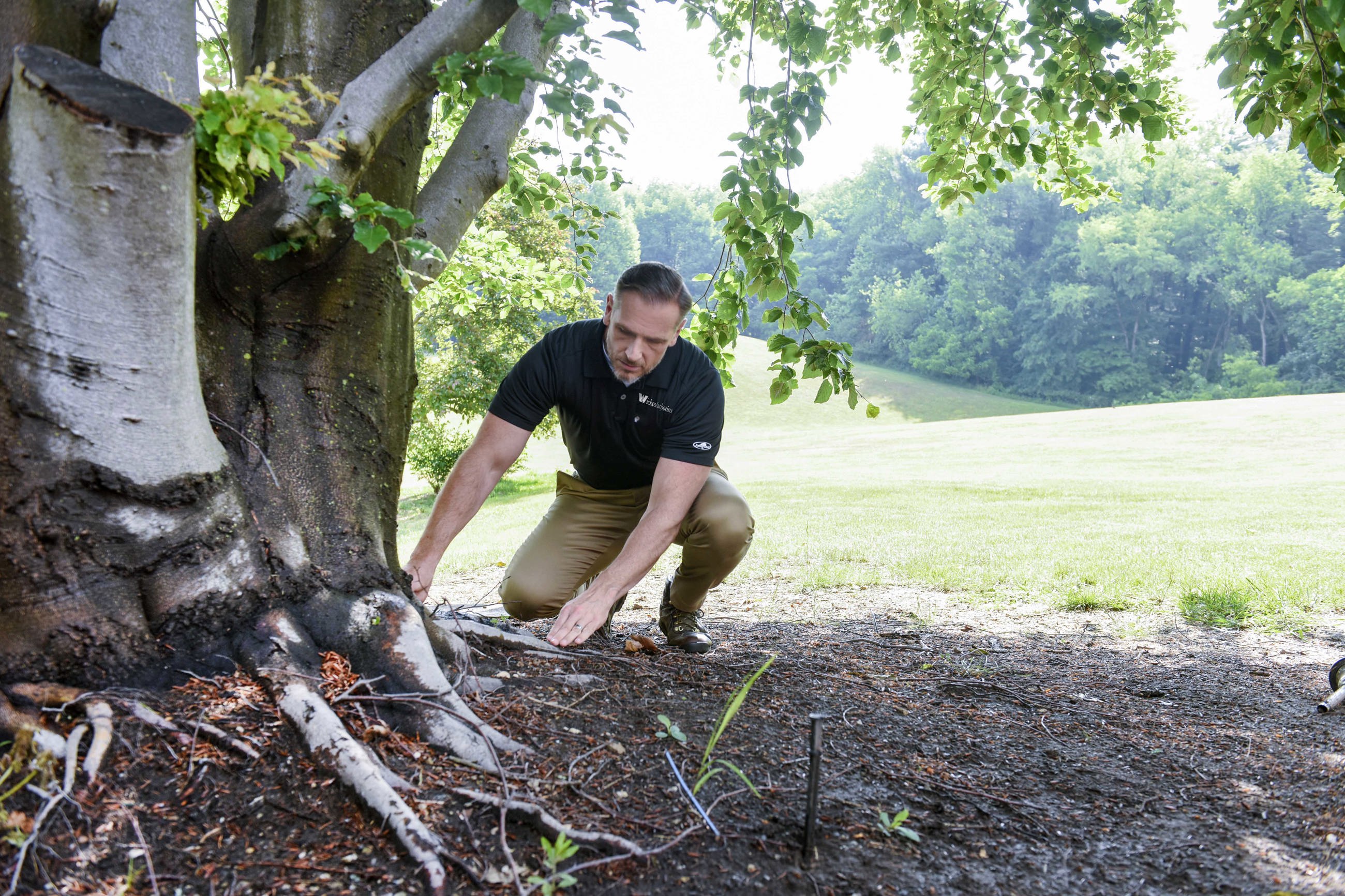 liming soils Rockland, New York