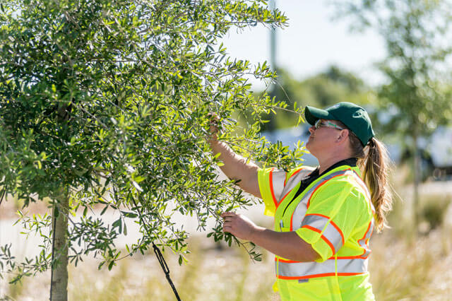 commercial landscape services rockland, new york