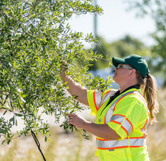 commercial landscape services rockland, new york