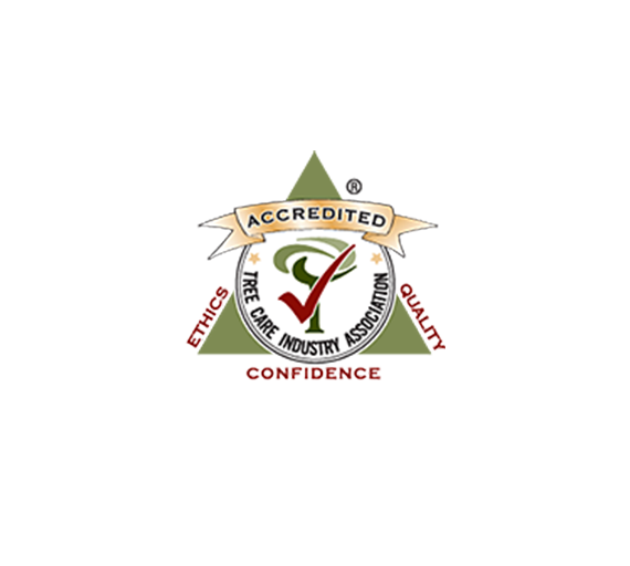 Accreditation Logo1432 (1)